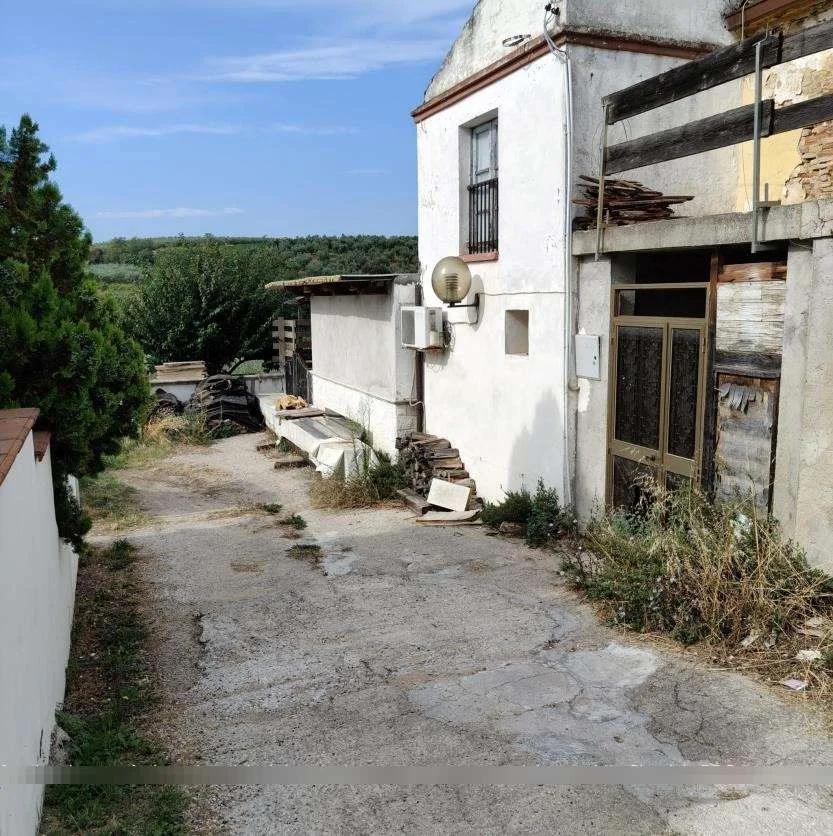 Asta in Comune di Francavilla al Mare