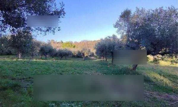 Asta in Comune di Montesilvano