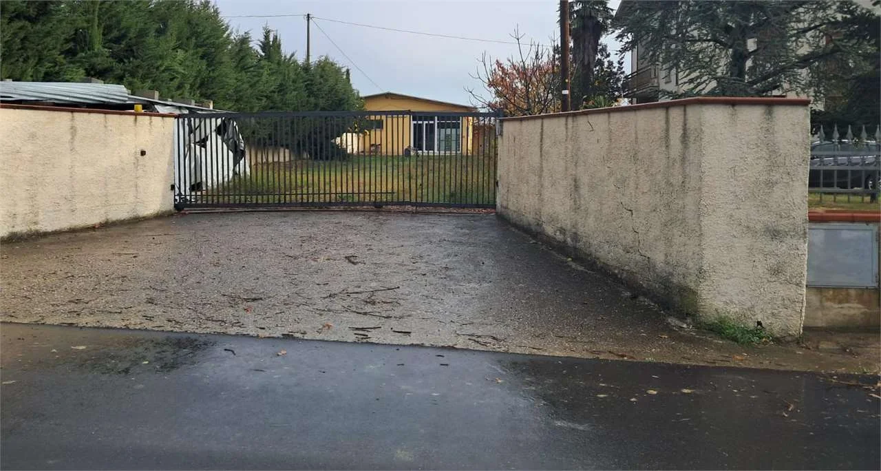 Asta in Comune di Controguerra